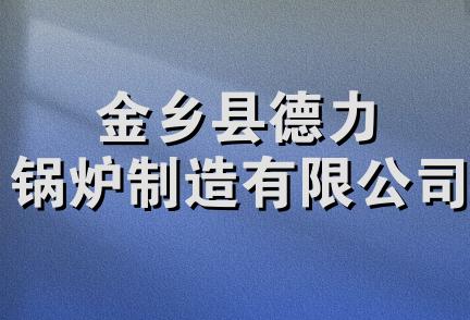 金乡县德力锅炉制造有限公司