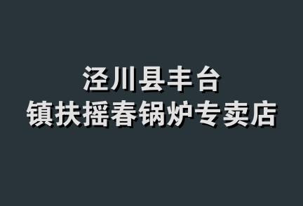 泾川县丰台镇扶摇春锅炉专卖店