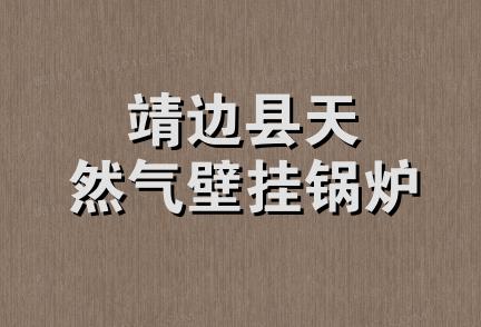 靖边县天然气壁挂锅炉