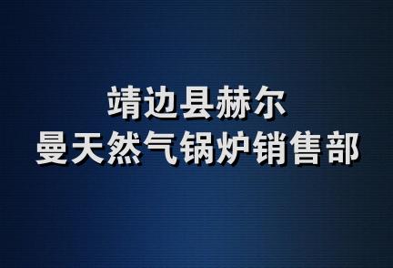 靖边县赫尔曼天然气锅炉销售部