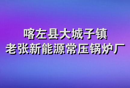 喀左县大城子镇老张新能源常压锅炉厂二部