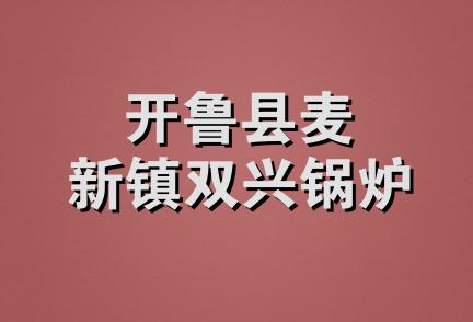 开鲁县麦新镇双兴锅炉