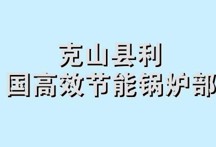 克山县利国高效节能锅炉部