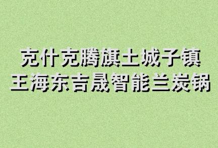 克什克腾旗土城子镇王海东吉晟智能兰炭锅炉专营店