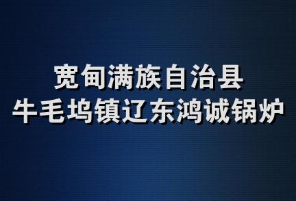 宽甸满族自治县牛毛坞镇辽东鸿诚锅炉厂