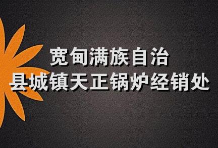 宽甸满族自治县城镇天正锅炉经销处