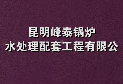 昆明峰泰锅炉水处理配套工程有限公司