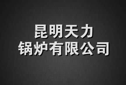 昆明天力锅炉有限公司