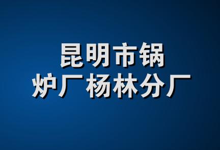 昆明市锅炉厂杨林分厂