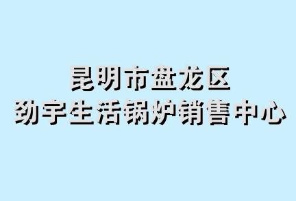 昆明市盘龙区劲宇生活锅炉销售中心