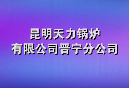 昆明天力锅炉有限公司晋宁分公司