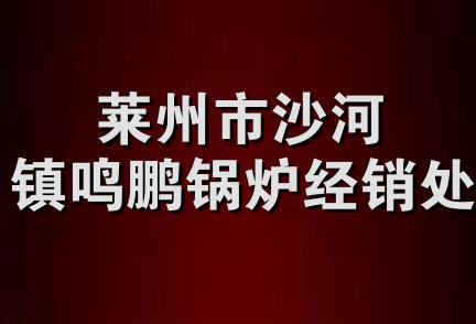 莱州市沙河镇鸣鹏锅炉经销处