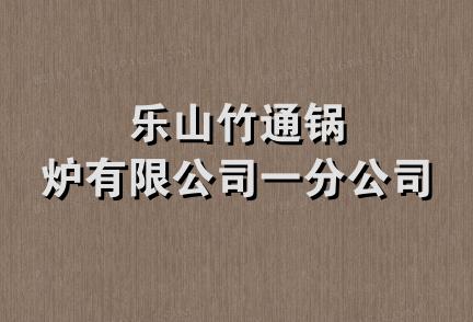 乐山竹通锅炉有限公司一分公司