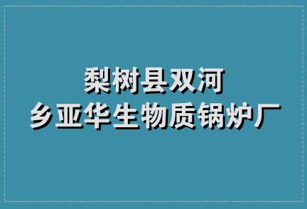 梨树县双河乡亚华生物质锅炉厂