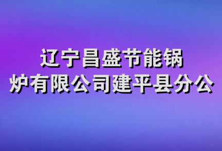 辽宁昌盛节能锅炉有限公司建平县分公司