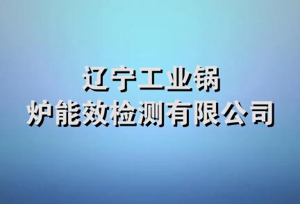 辽宁工业锅炉能效检测有限公司