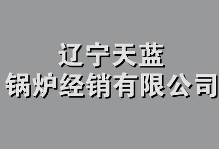 辽宁天蓝锅炉经销有限公司