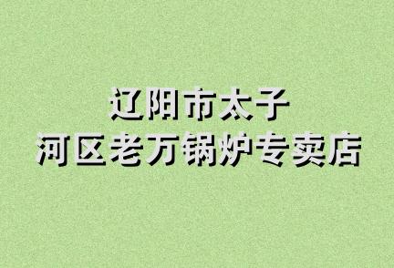 辽阳市太子河区老万锅炉专卖店