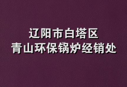 辽阳市白塔区青山环保锅炉经销处