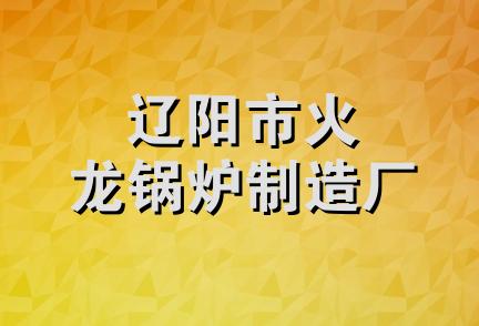 辽阳市火龙锅炉制造厂