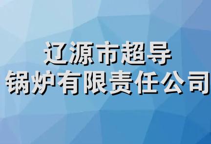 辽源市超导锅炉有限责任公司