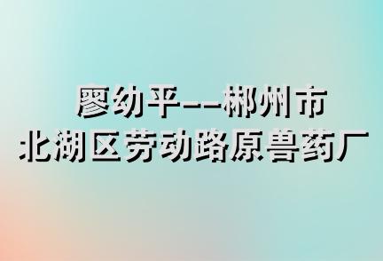 廖幼平--郴州市北湖区劳动路原兽药厂锅炉房内