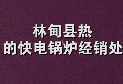 林甸县热的快电锅炉经销处