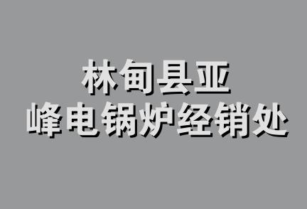 林甸县亚峰电锅炉经销处