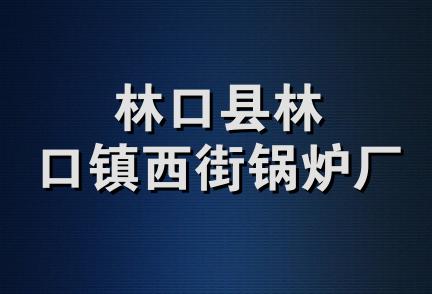 林口县林口镇西街锅炉厂