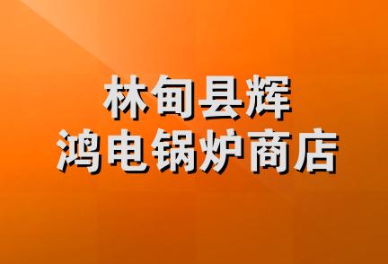 林甸县辉鸿电锅炉商店