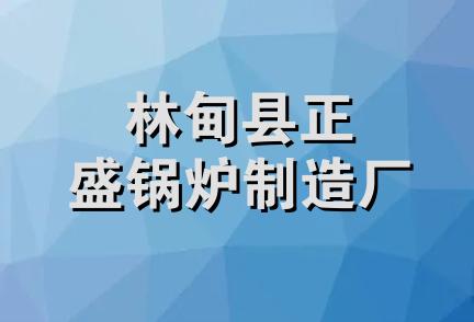 林甸县正盛锅炉制造厂