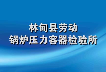 林甸县劳动锅炉压力容器检验所