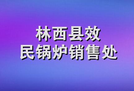 林西县效民锅炉销售处