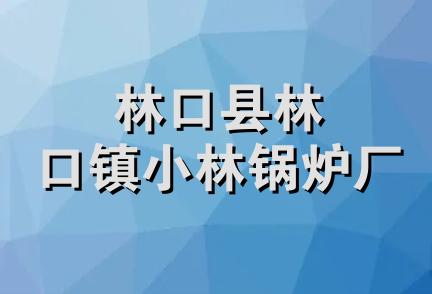 林口县林口镇小林锅炉厂