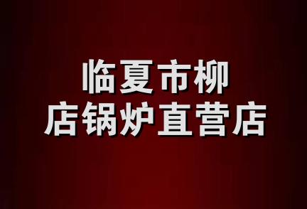 临夏市柳店锅炉直营店