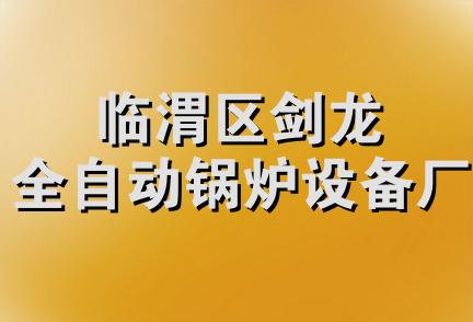 临渭区剑龙全自动锅炉设备厂