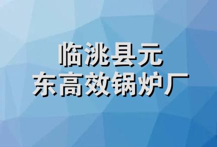 临洮县元东高效锅炉厂