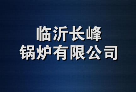 临沂长峰锅炉有限公司