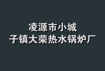 凌源市小城子镇大荣热水锅炉厂