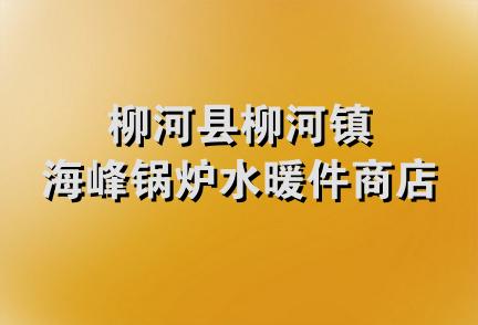 柳河县柳河镇海峰锅炉水暖件商店