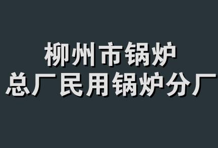 柳州市锅炉总厂民用锅炉分厂