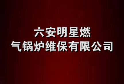 六安明星燃气锅炉维保有限公司