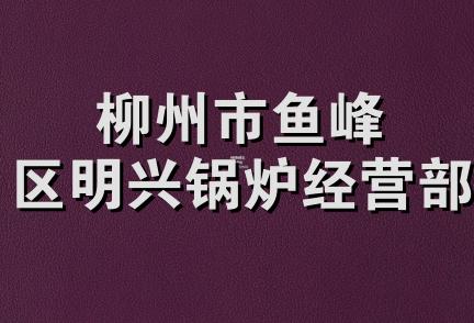 柳州市鱼峰区明兴锅炉经营部