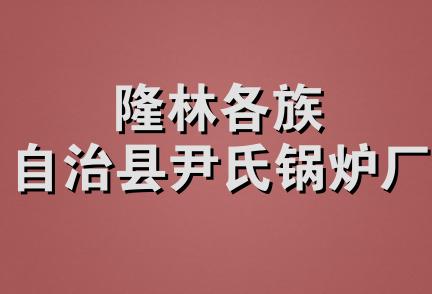 隆林各族自治县尹氏锅炉厂