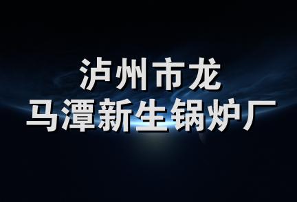 泸州市龙马潭新生锅炉厂