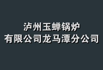 泸州玉蝉锅炉有限公司龙马潭分公司