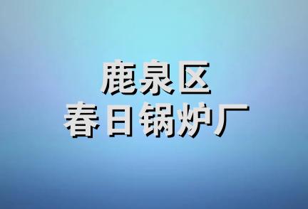 鹿泉区春日锅炉厂