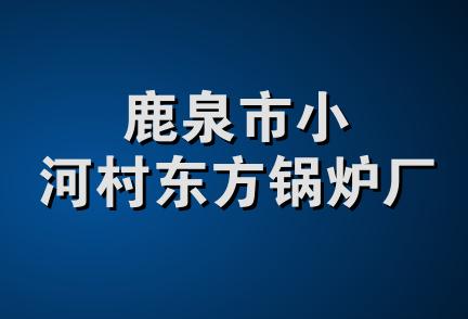 鹿泉市小河村东方锅炉厂