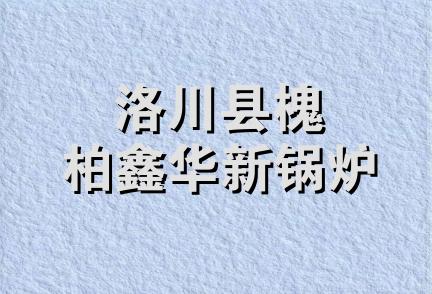 洛川县槐柏鑫华新锅炉