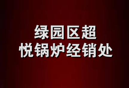 绿园区超悦锅炉经销处